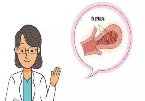 做試管嬰兒前如何調(diào)理內(nèi)膜，學(xué)會(huì)這些方法提高著床成功率